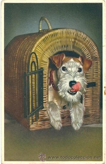 Postcards: 6091 - HERMOSA POSTAL EDC. COLOPRINT B(BELGICA) N&ordm; 52447 (1195)