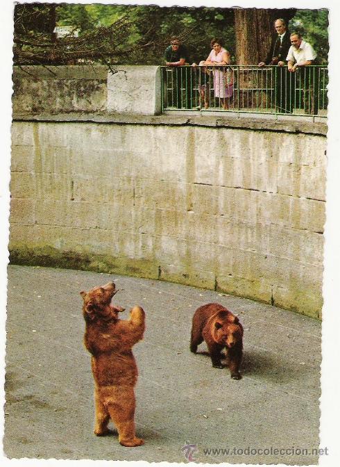 Postales: PAREJA DE OSOS EN EL ZOO DE BERN - A&Ntilde;OS 70