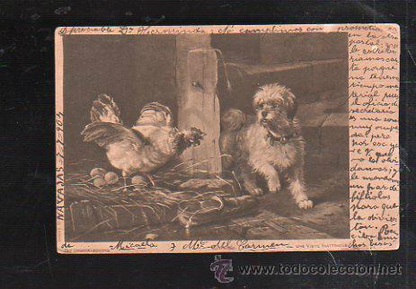 Postais: TARJETA POSTAL DE ANIMALES. PERRO Y GALLINA.