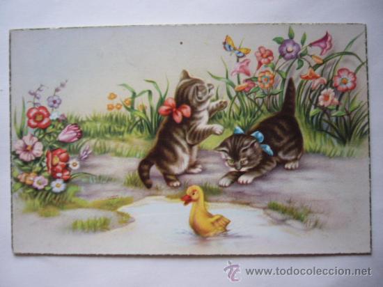 Cartes Postales: POSTAL ILUSTRADA DE GATITOS.
