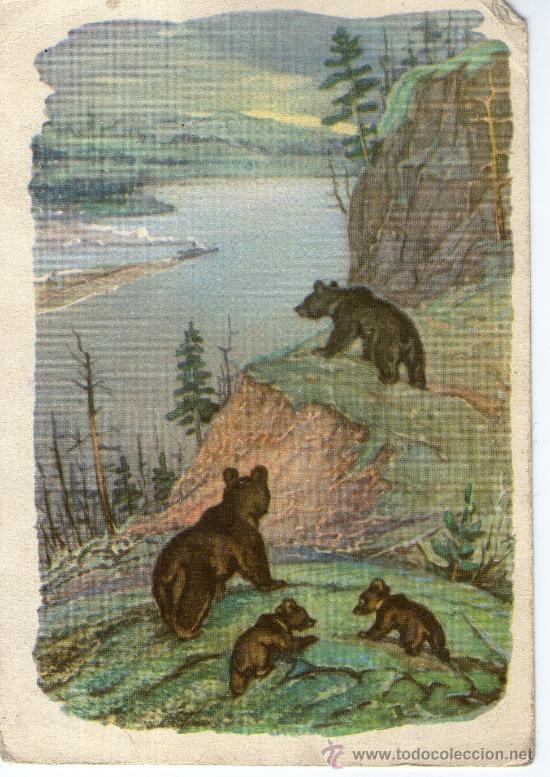 Cartes Postales: postal infantil dibujo osos animal, ositos