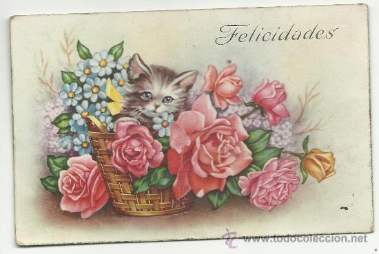 Cartes Postales: BONITA POSTAL ANTIGUA