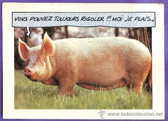 Postcards: postal - cerdo / humor - fot. frederic - ed. asphodele macon / francia - circulada - a&ntilde;os 80
