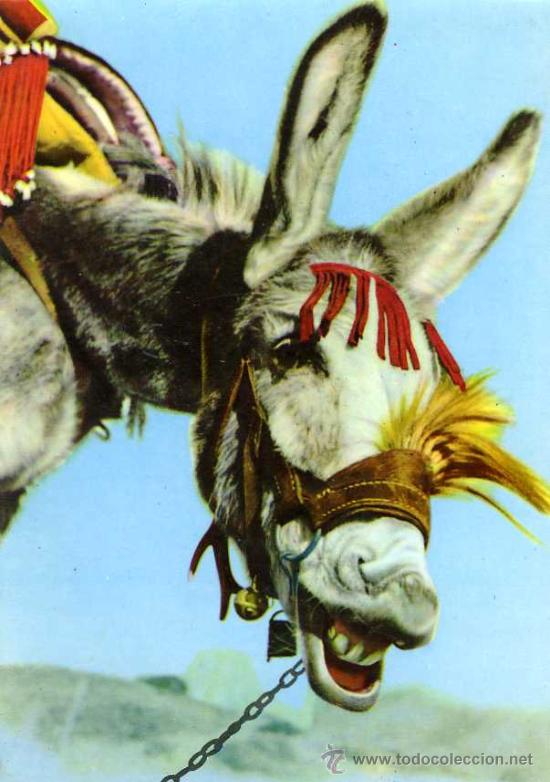 Postcards: POSTAL BURRO ALEGRE