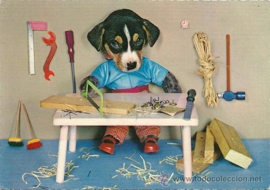 Cartes Postales: 6062X - UN PERRITO CARPINTERO SIMPATICA POSTAL EDICIONES KRUGER - 10X14,5 CM