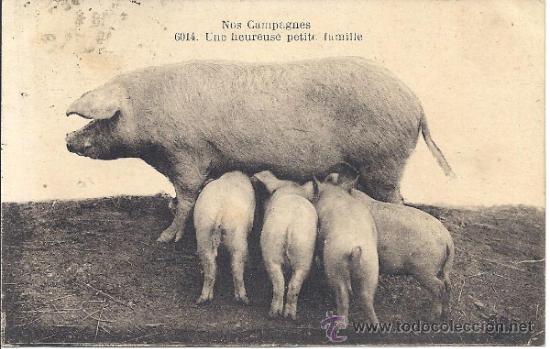 Postkarten: PS3158 POSTAL FRANCESA 'NOS CAMPAGNES - UNE HEUREUSE PETITE FAMILLE'. CIRCULADA EN 1922