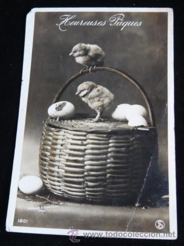 Postcards: Cesta  con huevos y pollitos; Heureuses P&acirc;ques