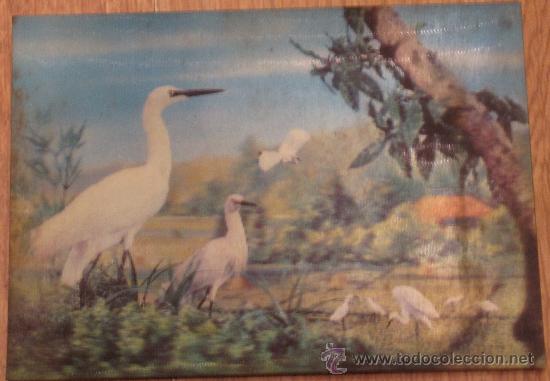 Postcards: POSTAL HOLOGRAMA GARZAS CASTLE MARKETING