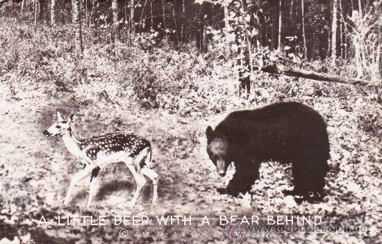 Postcards: A little deer with a bear behind (sin circular)