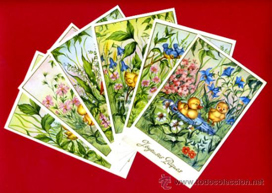 Postais: LOTE 6 POSTALES, ILUSTRADAS , POLLITOS Y PATITOS , ORIGINAL , H