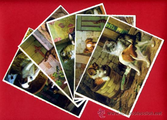 Cartes Postales: LOTE 5 POSTALES, ILUSTRADAS , PERROS PERRITOS GATOS GATITOS , ORIGINAL , I