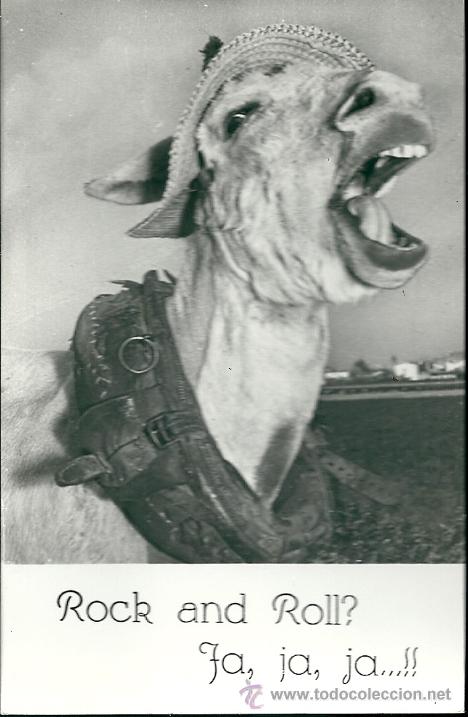 Postcards: POSTAL BURRO, CON LEYENDA -ROCK AND ROLL?-DISTRIBUIDOR MUNDI, SIN CIRCULAR