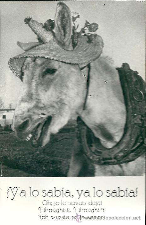 Postales: POSTAL BURRO, CON LEYENDA -YA LO SABÍA-DISTRIBUIDOR MUNDI, SIN CIRCULAR