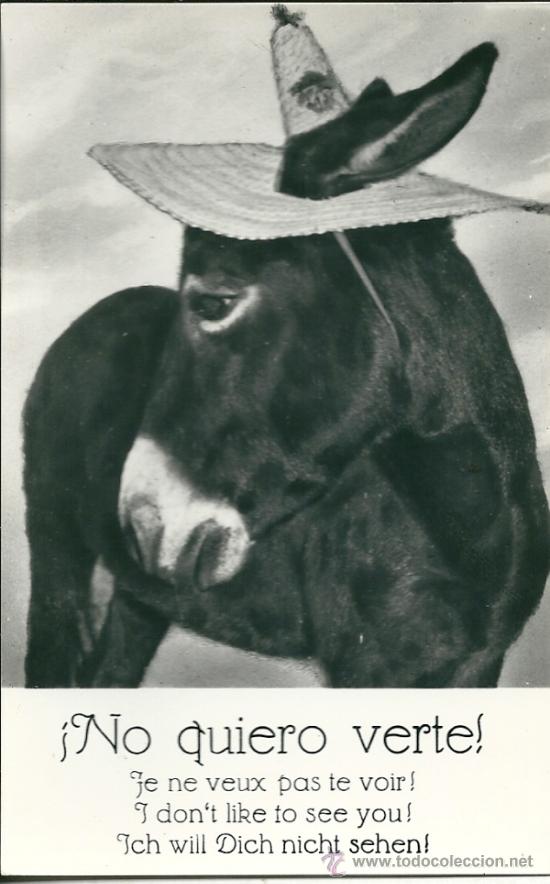 Postcards: POSTAL BURRO, CON LEYENDA -&iexcl;NO QUIERO VERTE!-DISTRIBUIDOR MUNDI, SIN CIRCULAR