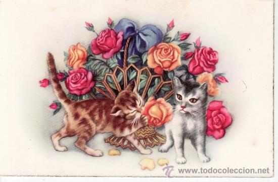 Postcards: TARJETA ANTIGUA CON GATOS - GATITOS - FLORES