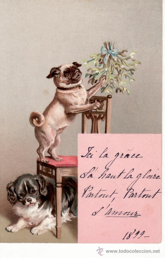 Postcards: POSTAL ANTIGUA DE UN PERRO