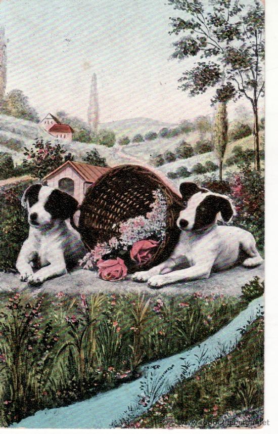 Postcards: POSTAL ANTIGUA DE PERROS