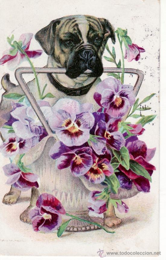 Postcards: POSTAL ANTIGUA DE PERROS