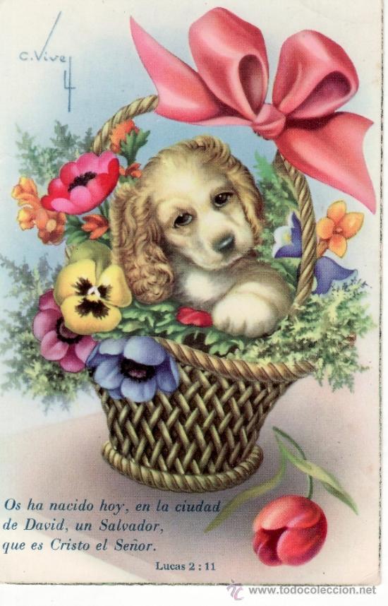 Postcards: POSTAL ANTIGUA DE PERROS