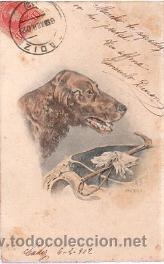 Cartes Postales: TARJETA POSTAL ANIMALES, PERRO
