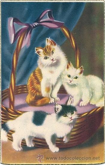 Postcards: 0948D - PRECIOSOS GATITOS EN UNA CESTA -EDICIONES COLON - BENISI SERIE 275.10 - DATA 1950