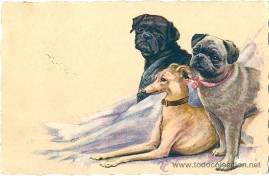 Postcards: 0958D - HERMOSURA DE PERRITOS,CARLINO, GALGO-BELLA ILUSTRACI&Oacute;N-EDICIONES DEGAMI - N&ordm; 658 -DATA 1927