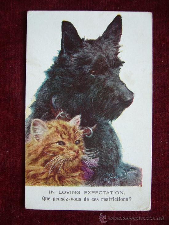 Postcards: Postal Animales. In loving Expectation. Que pensez-vous des ces restrictions?.Ser. Artistica. 1918?