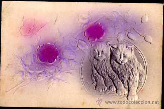 Postcards: Antigua postal en relieve. Gatos. No circulada.