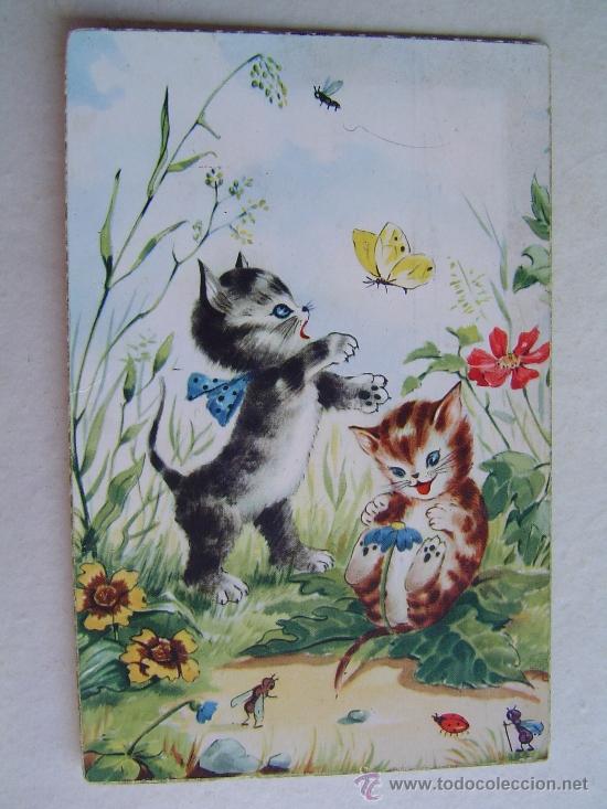 Postais: Postal  de gatitos