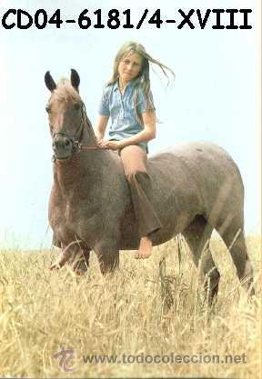 Postcards: ANTIGUA POSTAL CABALLOS A&Ntilde;OS 60 A ESTRENAR*