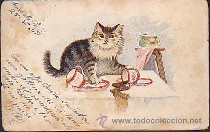 Postales: POSTAL ILUSTRADA GATOS - Foto 1