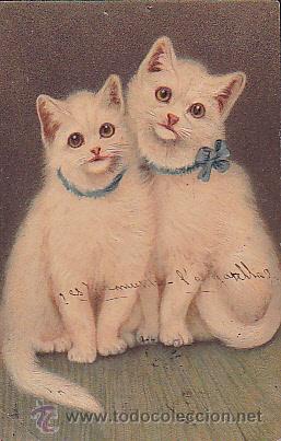 Postales: POSTAL ILUSTRADA GATOS - Foto 1