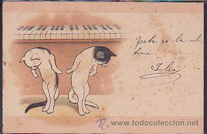 Postales: POSTAL ILUSTRADA DE GATOS - Foto 1