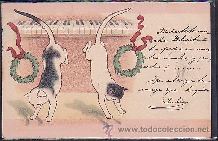Postales: POSTAL ILUSTRADA DE GATOS - Foto 1