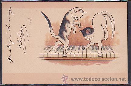 Postales: POSTAL ILUSTRADA DE GATOS - Foto 1