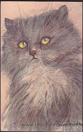Postales: POSTAL ILUSTRADA DE GATO - Foto 1