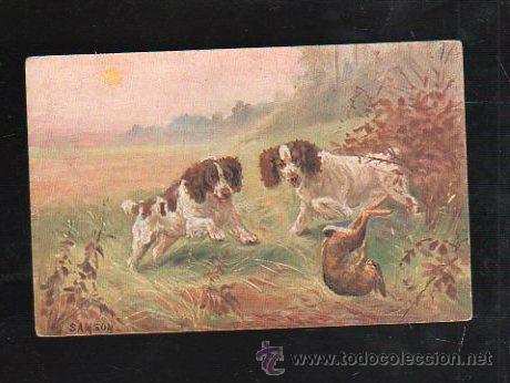 Cartes Postales: TARJETA POSTAL DE ANIMALES - PERROS CAZANDO LIEBRE. SERIE 254