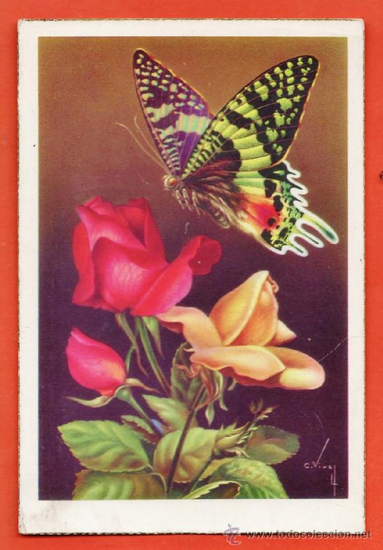 Cartes Postales: postal - mariposa y rosas - n&ordm; 512 - il. vives - ed. cyz - nueva - cantos dorados - a&ntilde;os 60 -