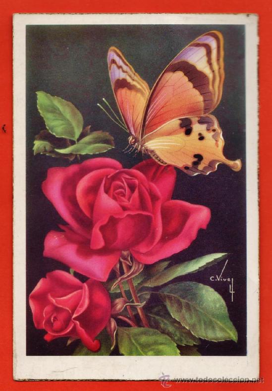 Cartes Postales: postal - mariposa y rosas - n&ordm; 512 - il. vives - ed. cyz - nueva - cantos dorados - a&ntilde;os 60 -