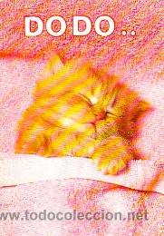 Postales: Gato, el gatito durmiendo, do do... - Foto 1