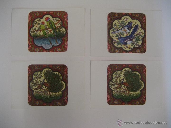 Postcards: LOTE DE 4 POSTALES TEMA ANIMALES