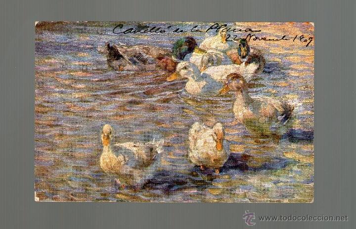 Postcards: POSTAL antigua de PATOS en un estanque - Escrita en Castell&oacute;n de la Plana - ROMANTICA - A&ntilde;os 20