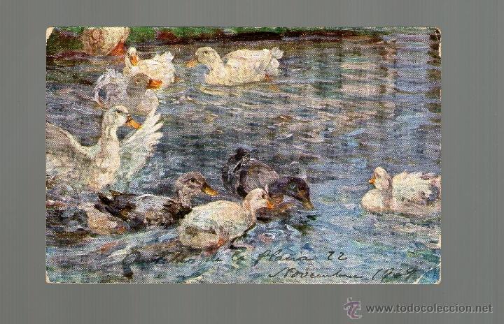 Postcards: POSTAL antigua de PATOS en un estanque - Escrita en Castell&oacute;n de la Plana - ROMANTICA - A&ntilde;os 20