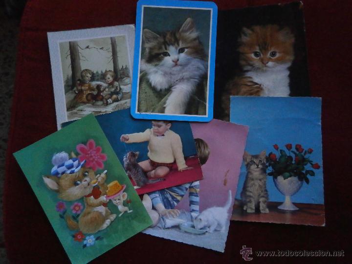Postcards: LOTE DE 7 POSTALES DE GATOS-ANIMALES.