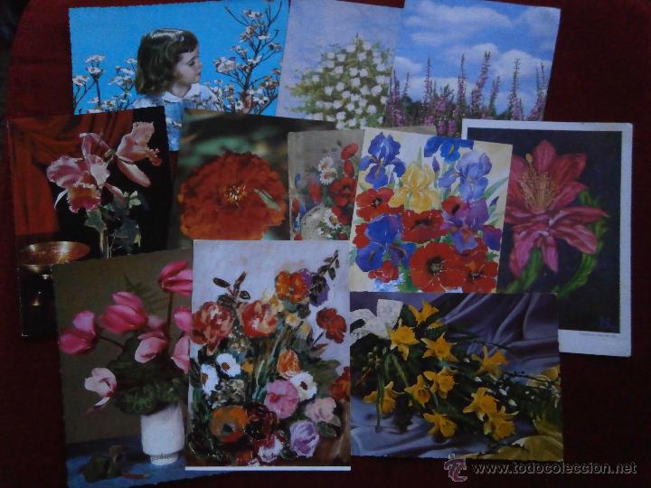 Postcards: BONITO LOTE DE 11 POSTALES DE FLORES DISTINTAS.