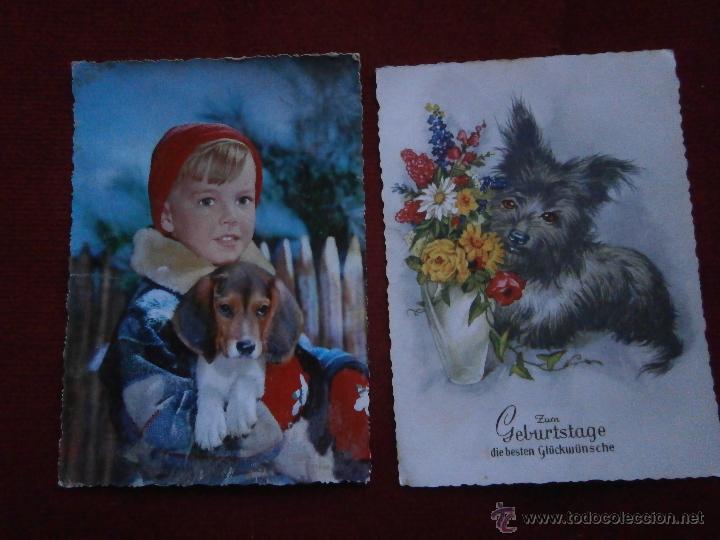 Postais: 2 POSTALES DE PERROS.