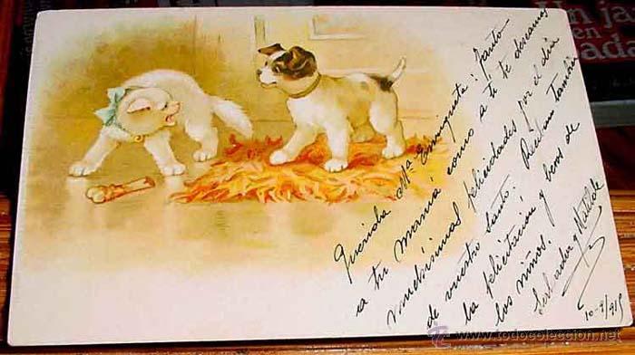 Postais: ANTIGUA POSTAL ANIMALES - CACHORRO DE PERRO Y CACHORRO DE GATO EN PLENA TRIFULCA  POR UN HUESO - CIR