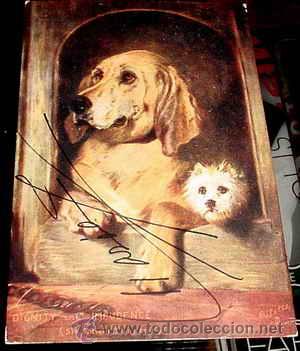 Postais: ANTIGUA POSTAL ANIMALES - DOS PERROS EN SU CASETA - CIRCULADA - ED. RAPHAEL TUCK.