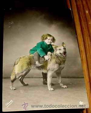 Cartes Postales: ANTIGUA POSTAL ANIMALES - UN NI&Ntilde;O SUBBIDO ENCIMA DE UN PERRO - CIRCULADA