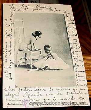 Cartes Postales: ANTIGUA POSTAL ANIMALES - UN BEBE CON SU PERRO ENCIMA DE UNA SILLA - CIRCULADA - SIN DIVIDIR.